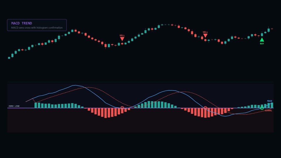 Screenshot #1 LT Macd EA