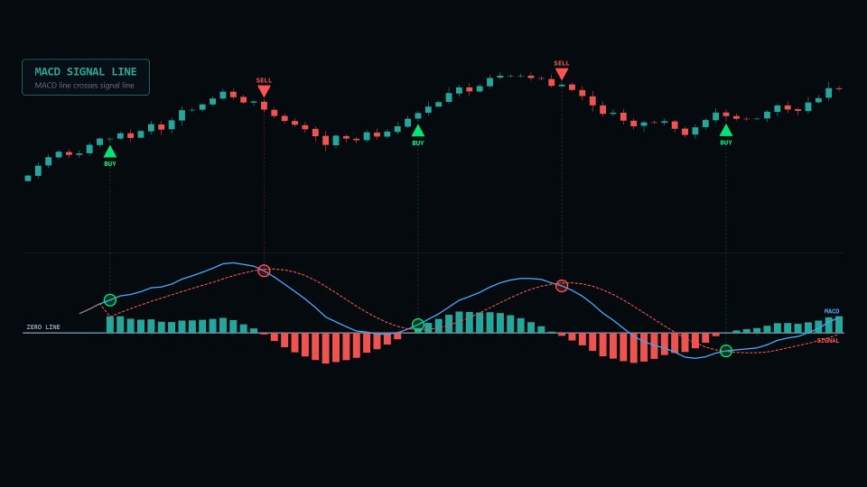 Screenshot #4 LT Macd EA