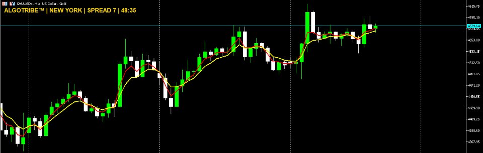 스크린샷 #1 Spread Session Timer Panel