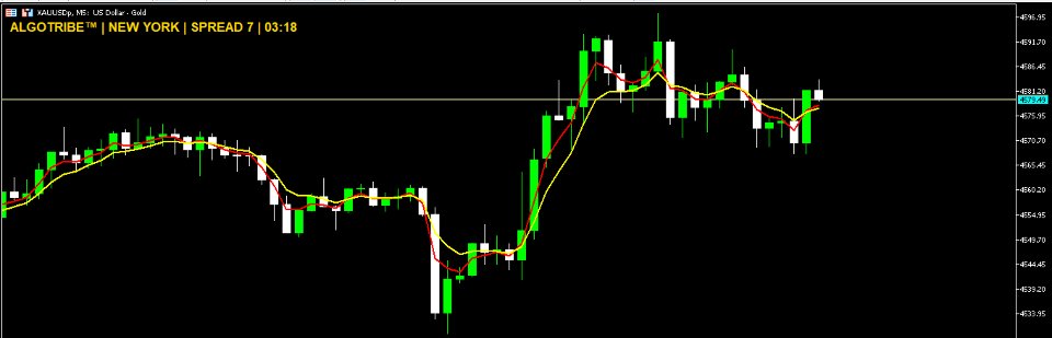 스크린샷 #2 Spread Session Timer Panel