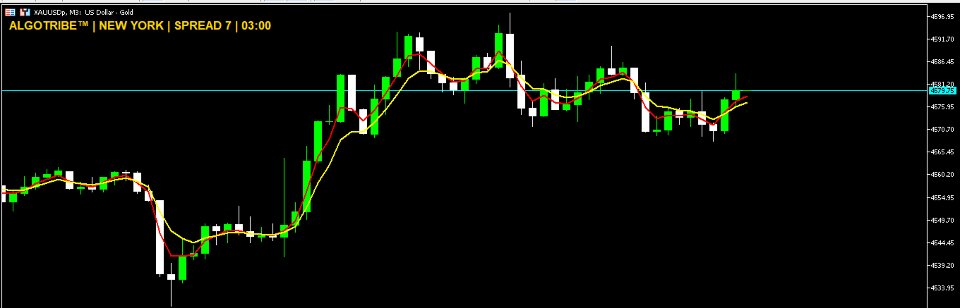 스크린샷 #3 Spread Session Timer Panel