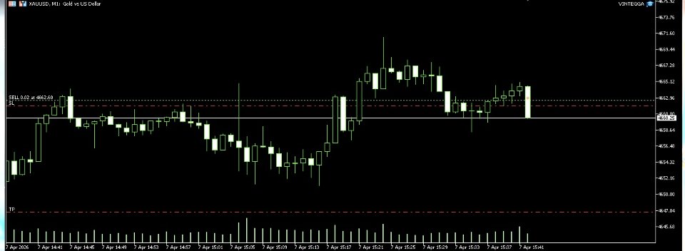 Captura de pantalla #3 Vintega