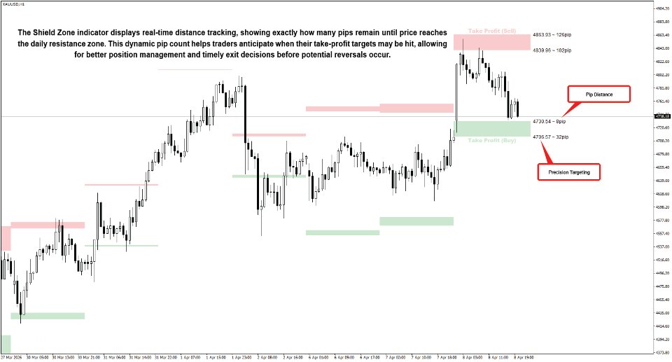 Capture d'écran #2 Shield Zone