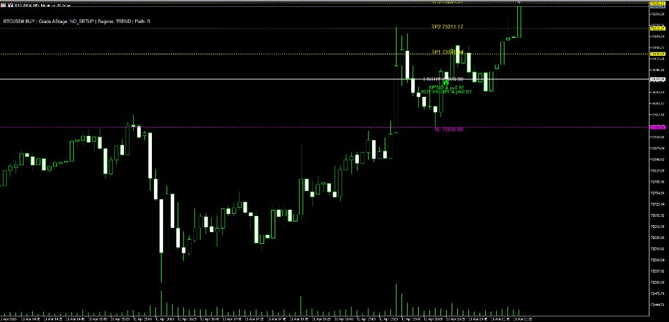 Screenshot #5 Btcusd Pro