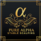 Alpha point development singapore forex