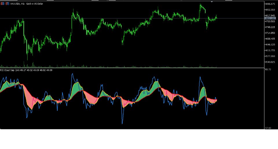 Imagens #1 RSI Cloud