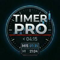 Timer Pro