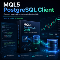 PostgreSQL Client