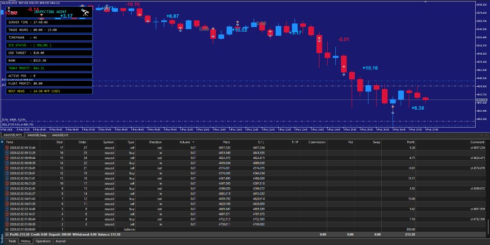 Screenshot #2 Inspecting Agent