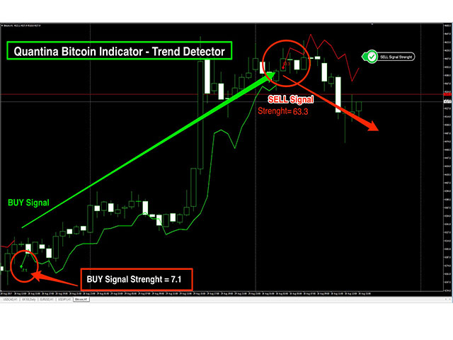 Bitcoin Mt4 Chart