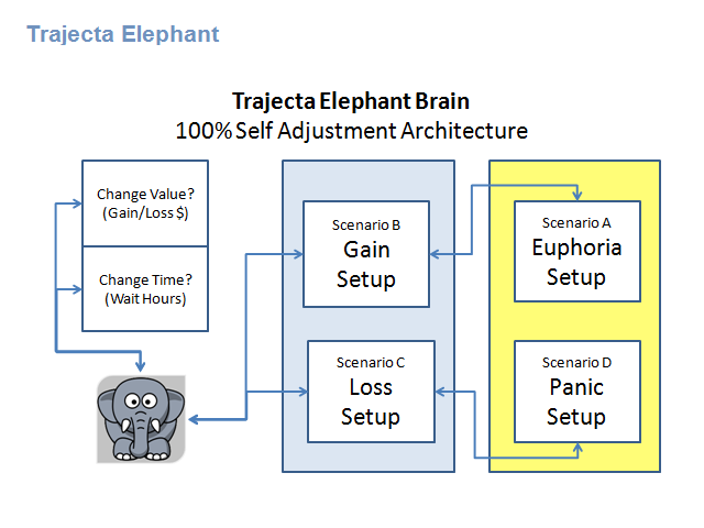 Trajecta Elephant Brain