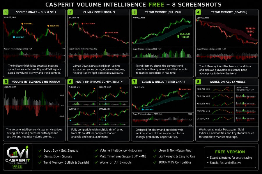 截图 #1 CasperIT Volume Intelligence