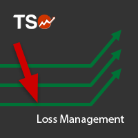TSO Loss Management MT5