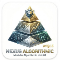 Acheter pour 1 000 USD Nexus Algorithmic