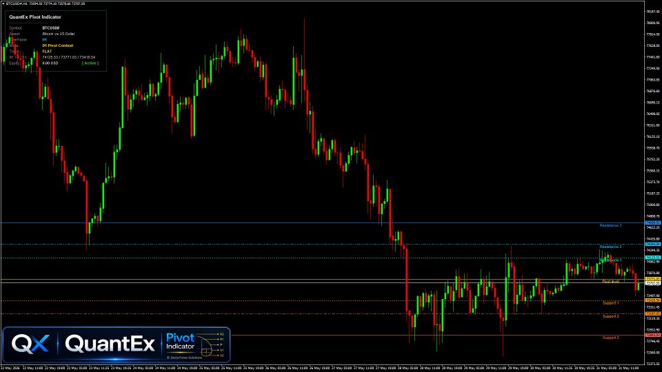 スクリーンショット #6 QuantEx Pivot Indicator MT5