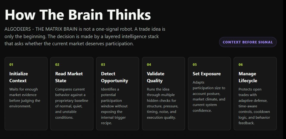 Imagens #5 AlgoDeers Matrix Brain