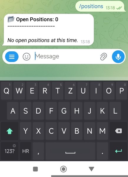 Screenshot #10 TelegramTradeReporter