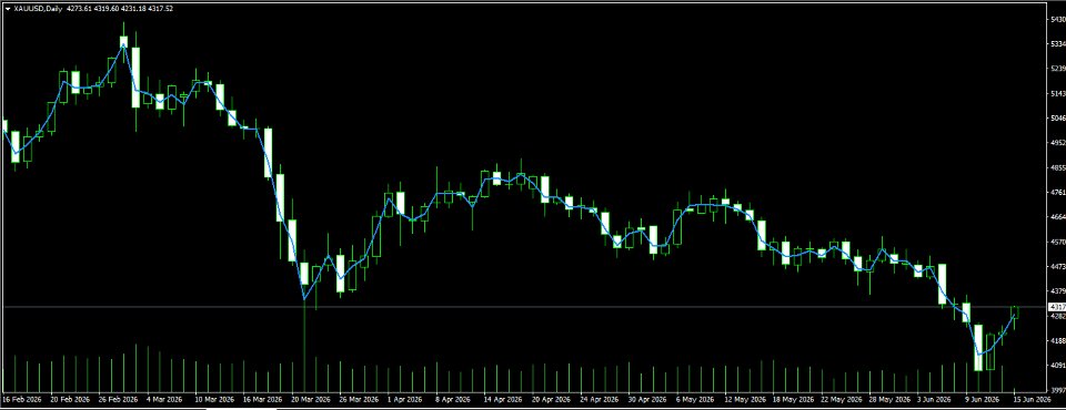Ekran görüntüsü #5 VWAP Clean Version