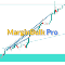 MarginBulk Pro