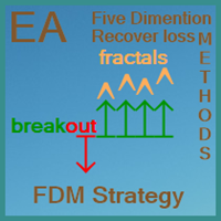 FDM Strategy