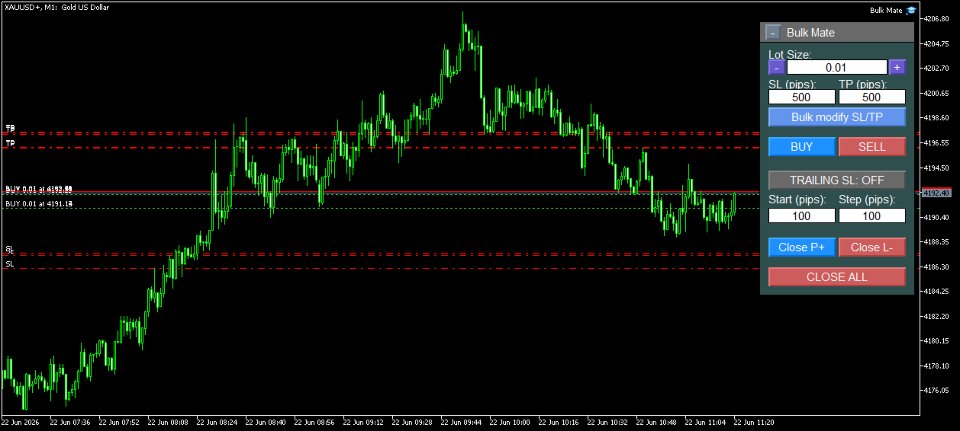 Screenshot #1 Bulk Mate