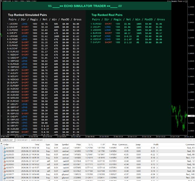 Ekran görüntüsü #2 Echo Simulator Trader