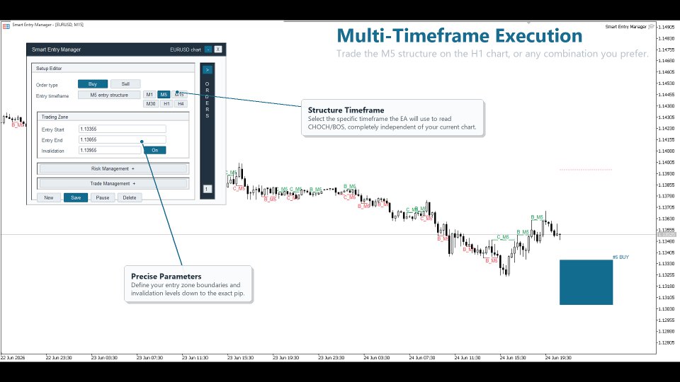 Screenshot #3 Smart Entry Manager