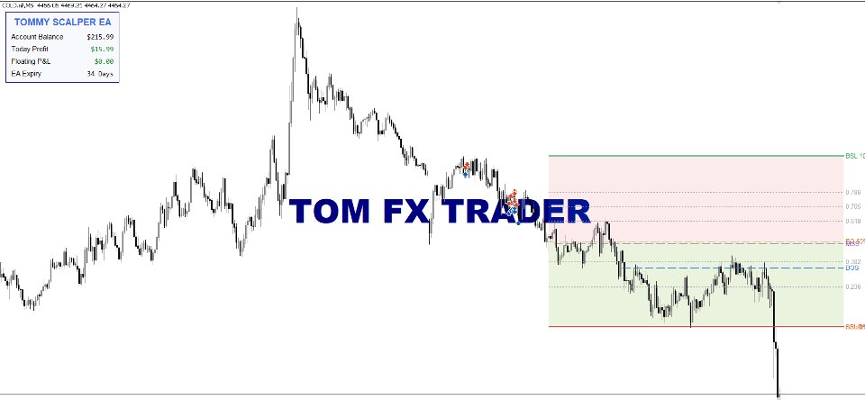 Screenshot #2 Tom FX