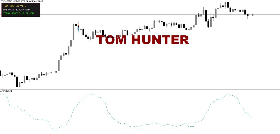 Screenshot #3 Tomhunter