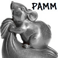 GRat PAMM Corr