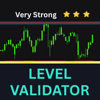 Level Validator