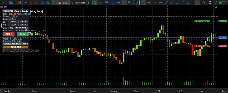 Ekran görüntüsü #1 Dynamic Trading Panel MT5