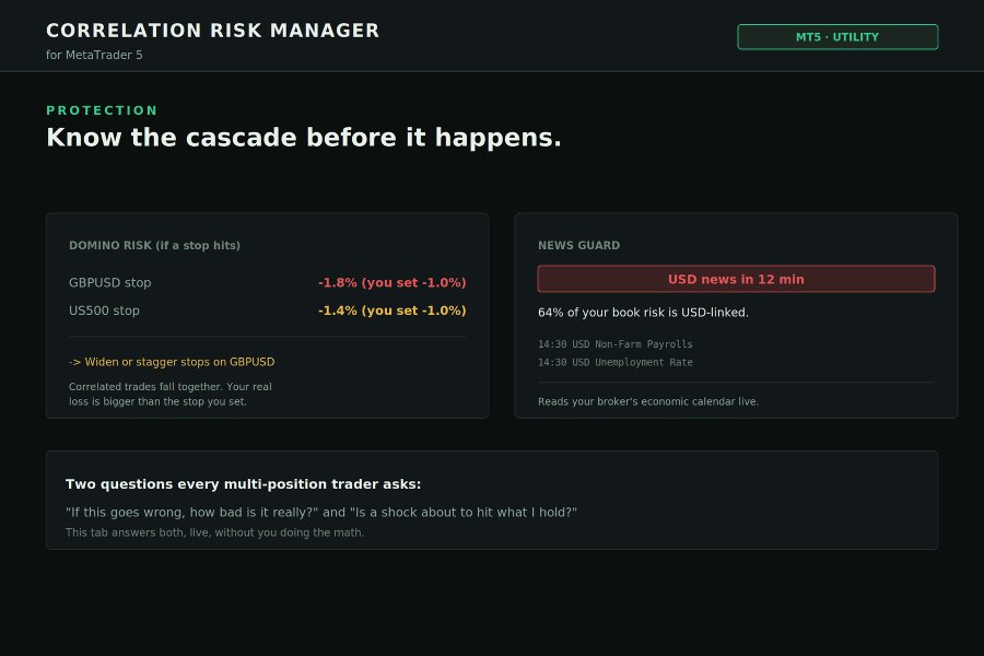 Ekran görüntüsü #8 Correlation Risk Manager