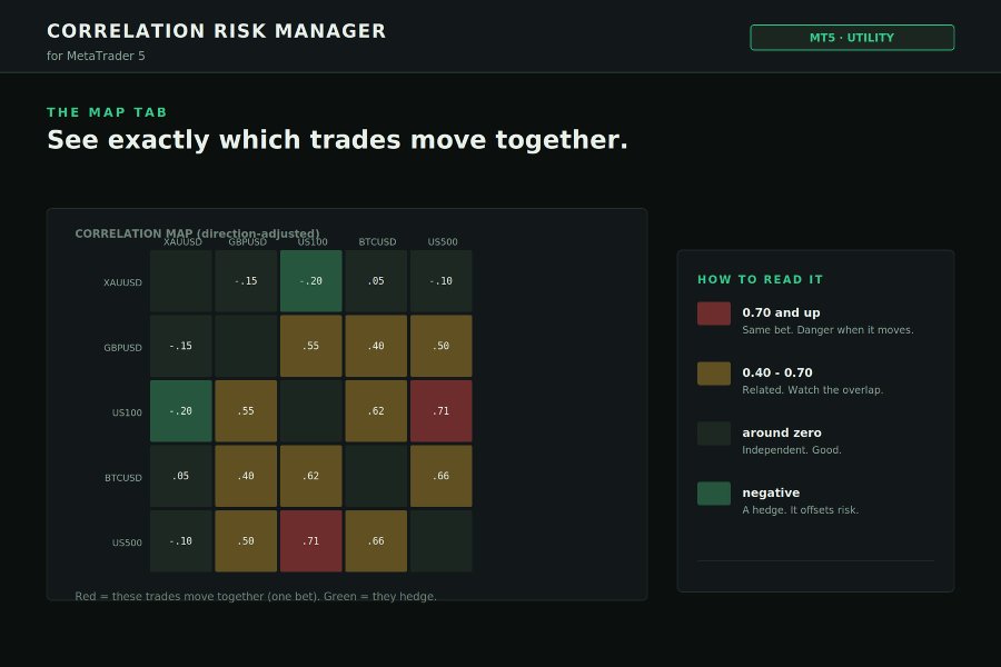 Ekran görüntüsü #6 Correlation Risk Manager
