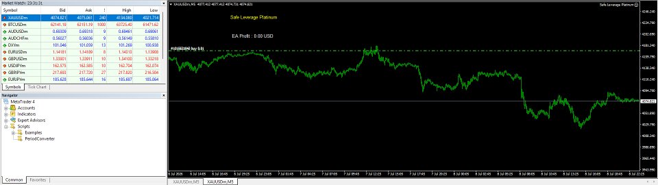Ekran görüntüsü #11 Safe Leverage Platinum