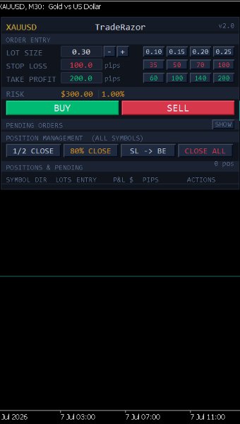 Captura de pantalla #3 TradeRazor One Click Execution with Risk Manager