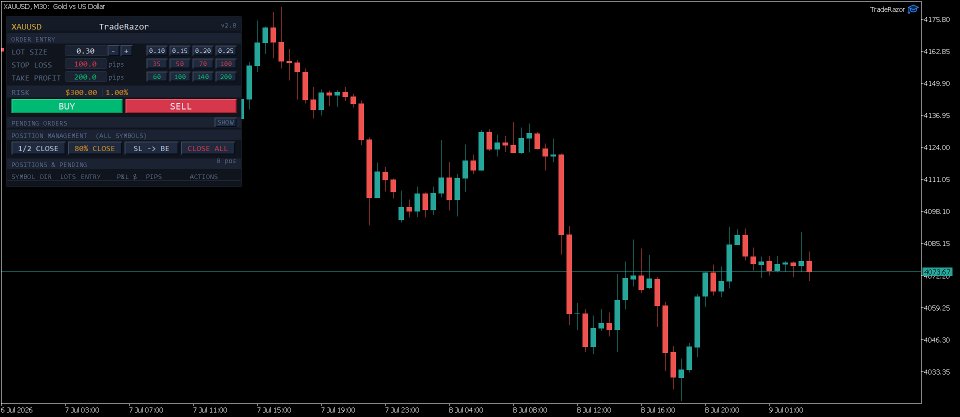 Captura de pantalla #1 TradeRazor One Click Execution with Risk Manager