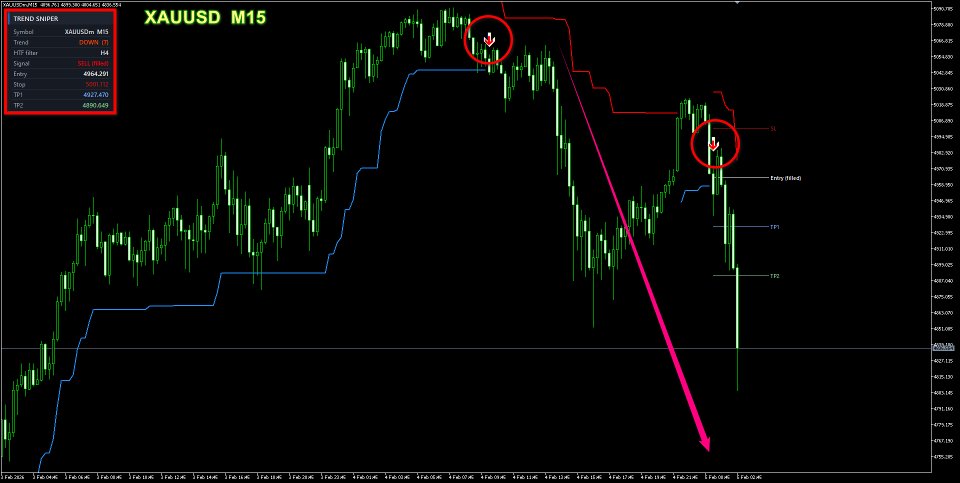 Снимок экрана #2 Trend Precision
