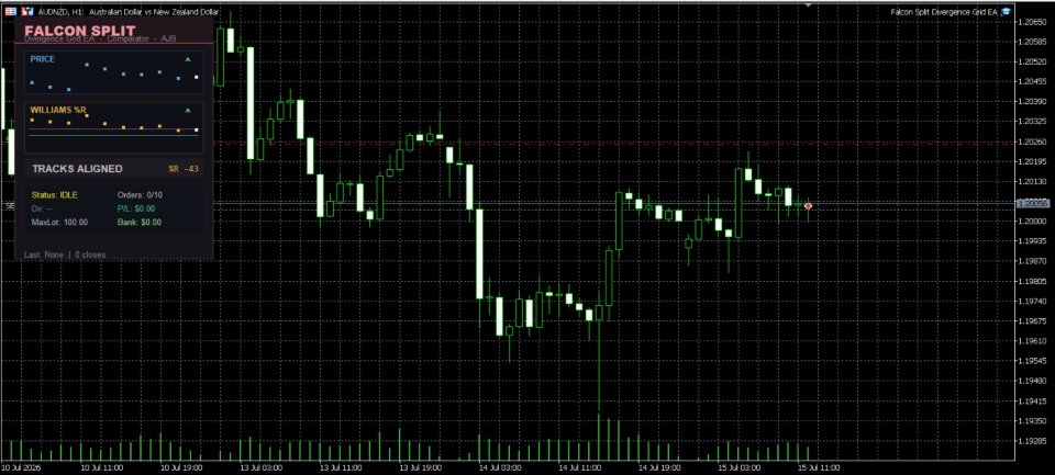 Screenshot #1 Falcon Split Divergence Grid EA