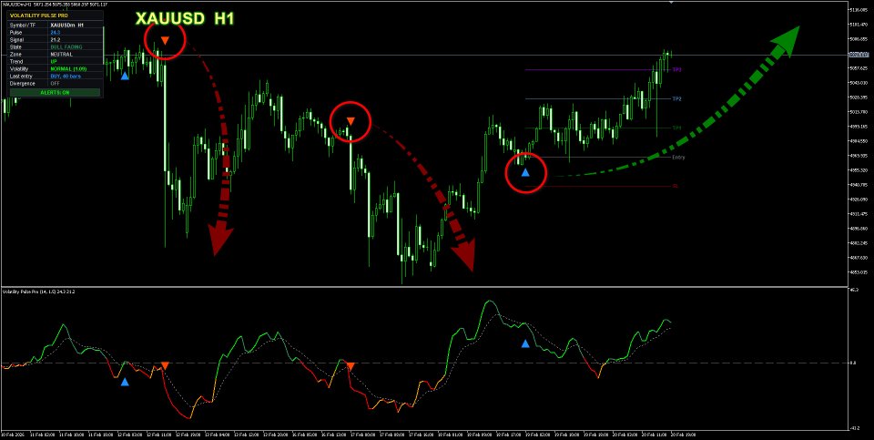 스크린샷 #1 Volatility Pulse Pro
