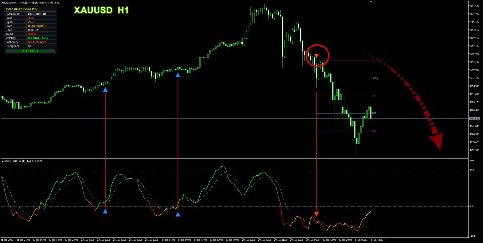 스크린샷 #2 Volatility Pulse Pro