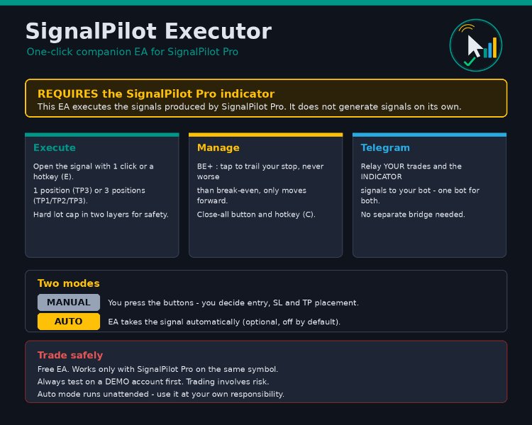 Screenshot #2 SignalPilot Executor