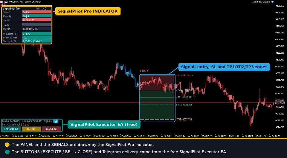 Imagens #4 SignalPilot Executor