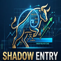 Shadow Entry