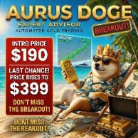 Aurus DOGE