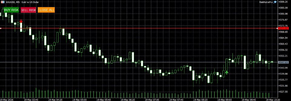 Снимок экрана #1 RiskMatrixPro