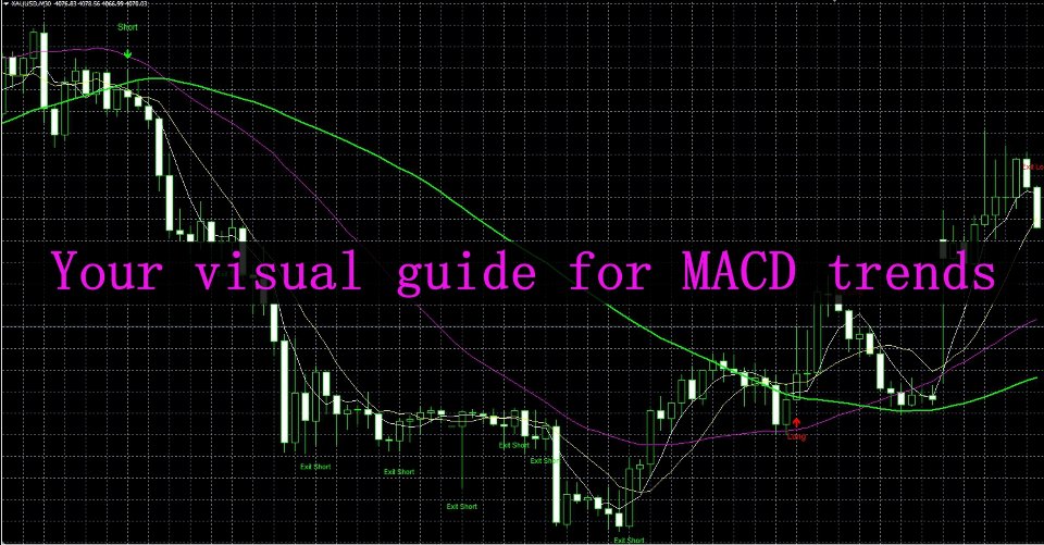 スクリーンショット #4 MACD Trend Visualizer System MT4