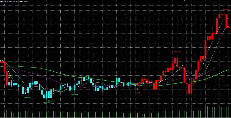 スクリーンショット #3 MACD Trend Visualizer System MT5