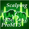 ScalpingProMt5