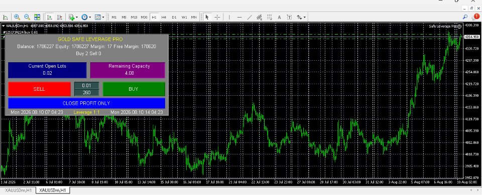Screenshot #6 Safe Leverage Pro